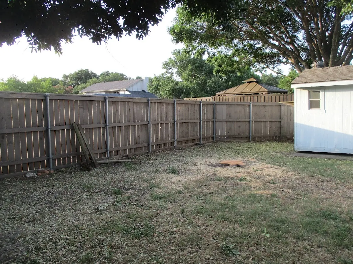 Cleared yard after professional tree removal in Haysville